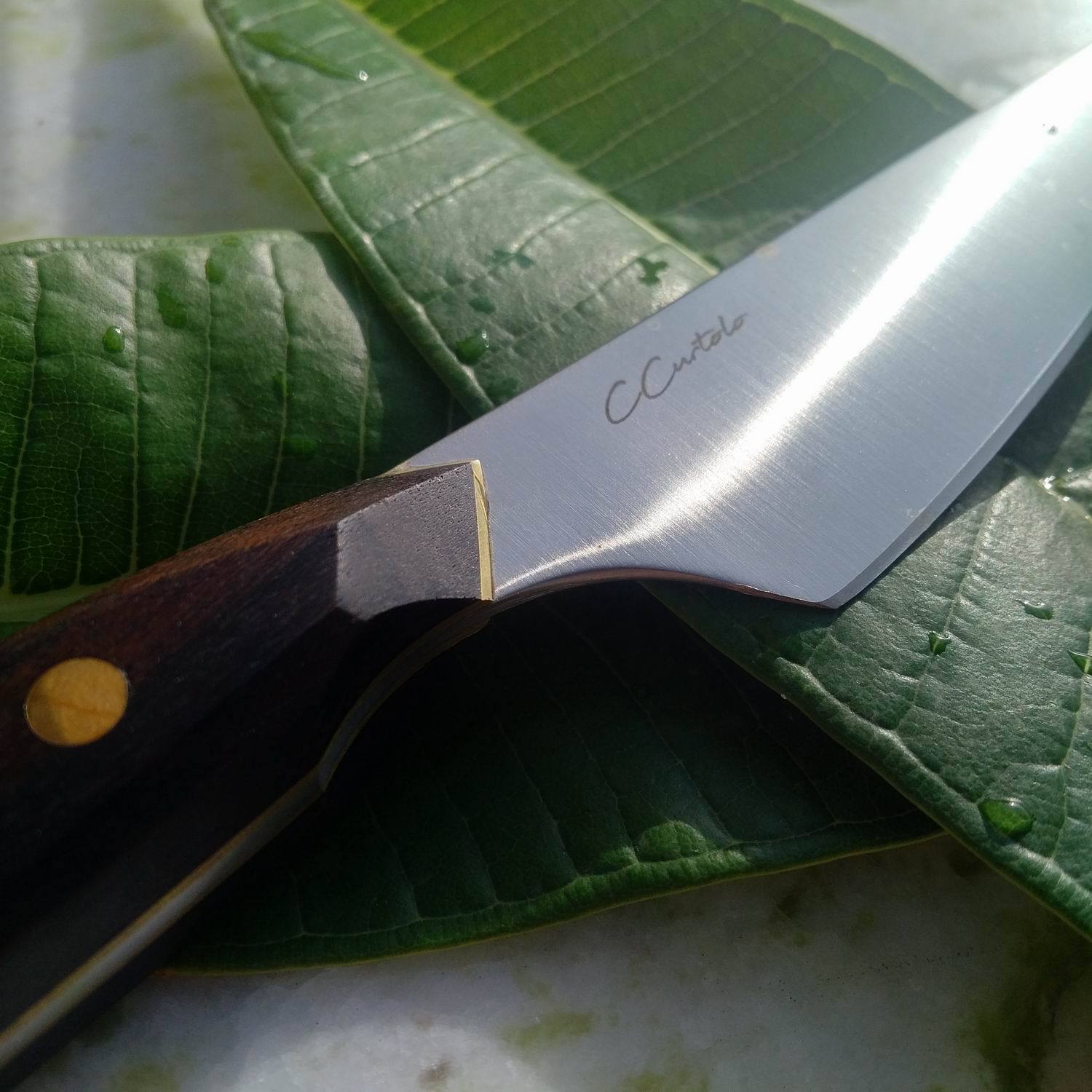 Brazil (CCurtolo Custom Knives)