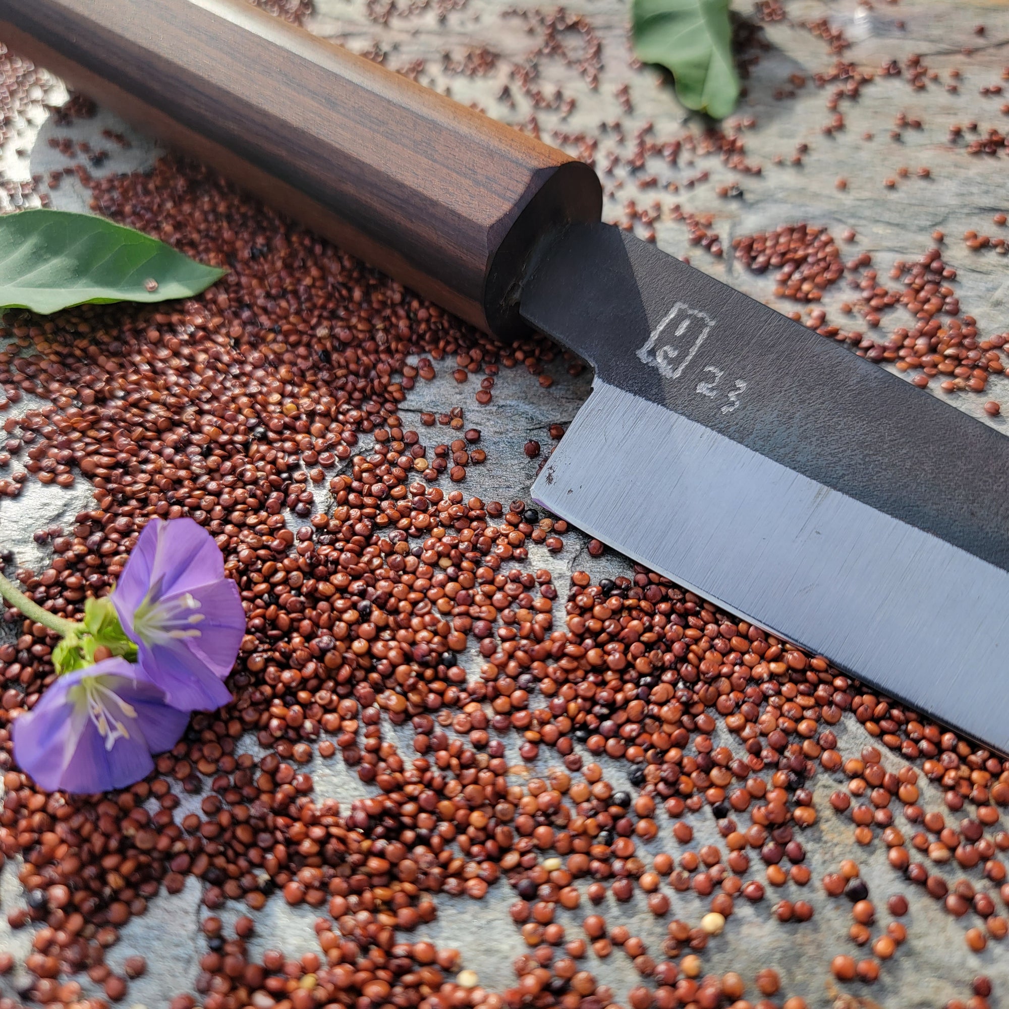 Paring Knife