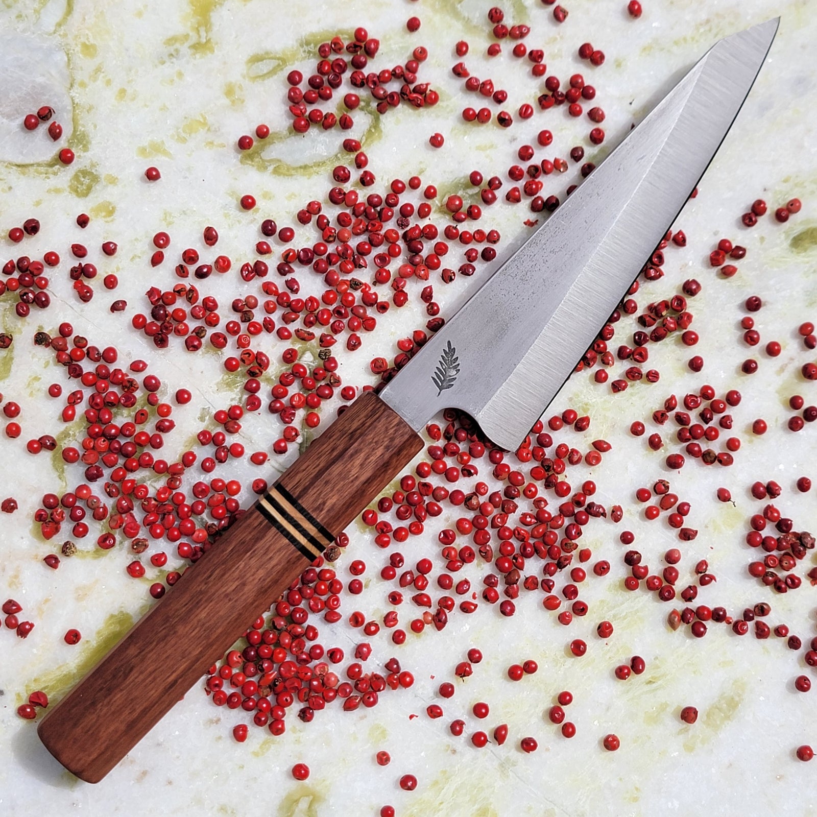 Horacio (Roble Americano)