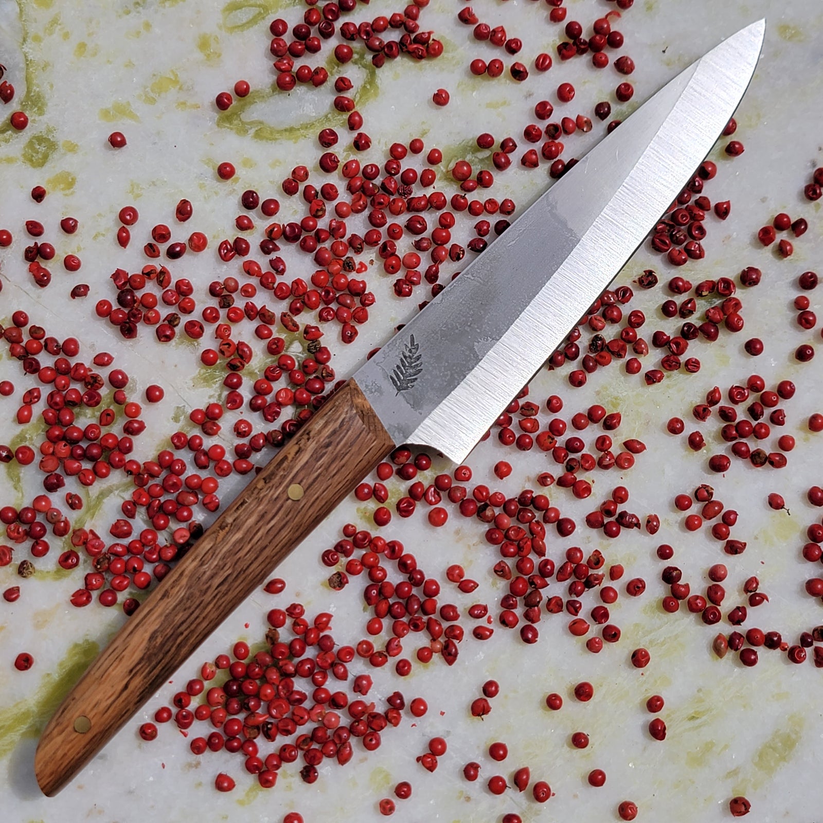 Nino (Roble Americano)