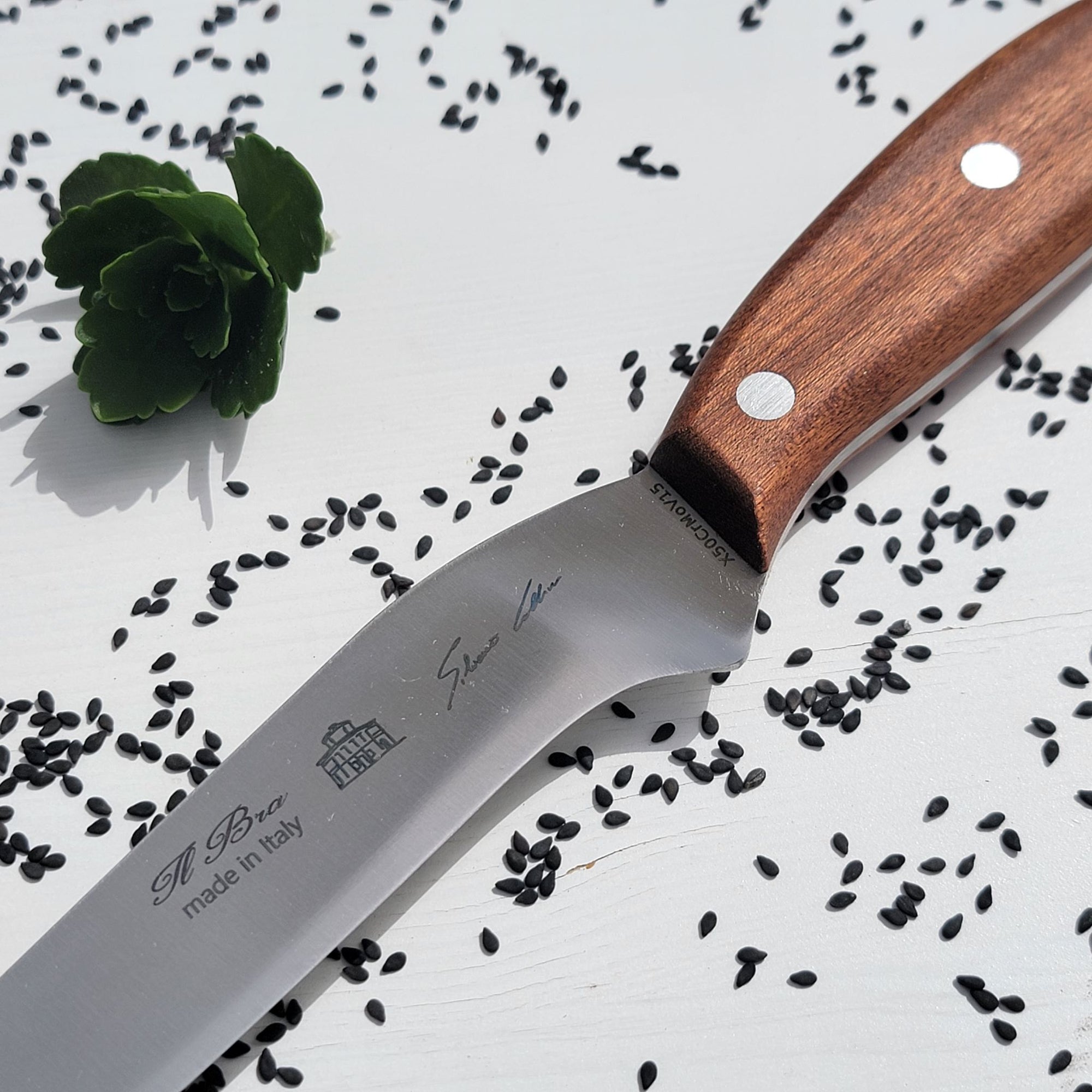 Boning Knife (Mogano)
