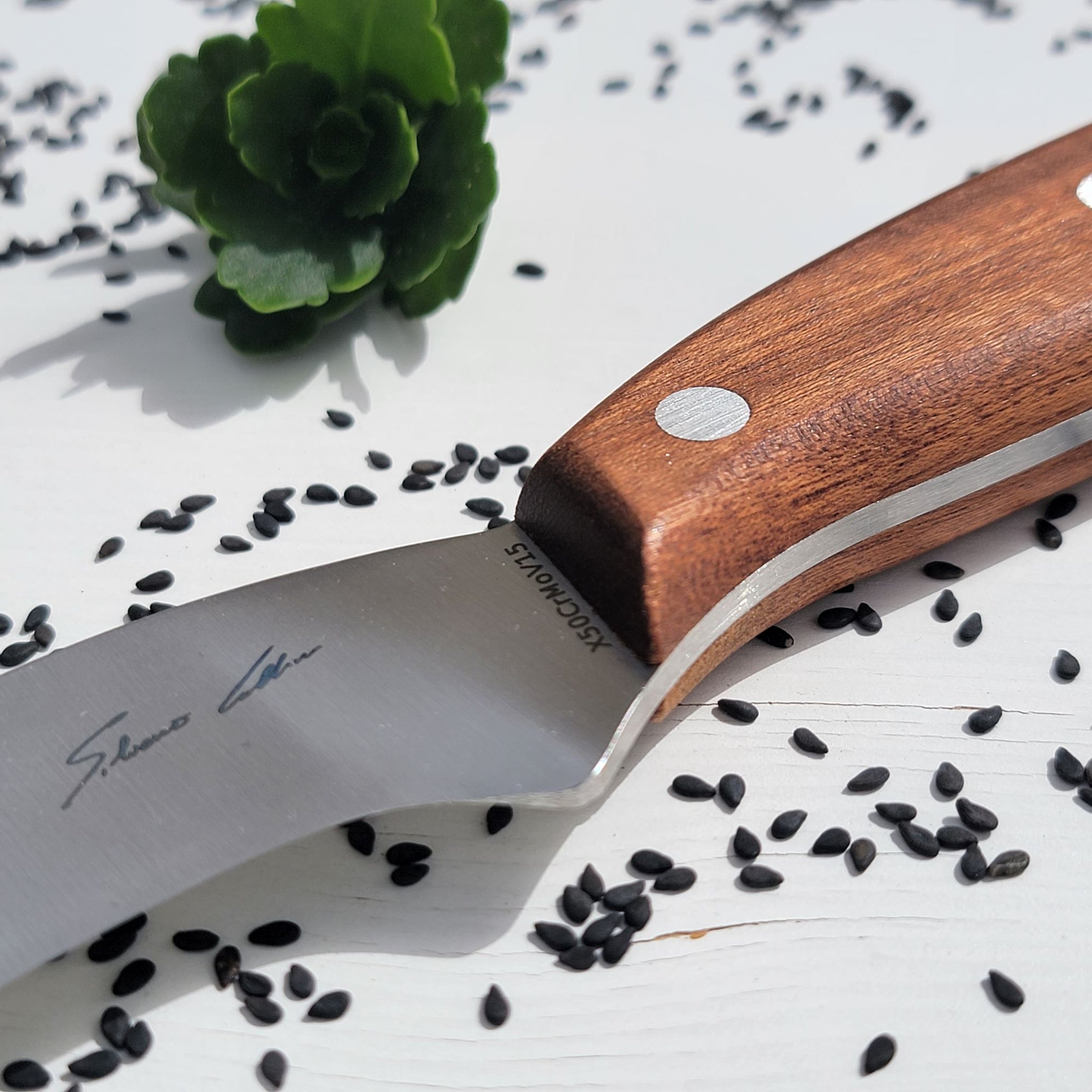Boning Knife (Mogano)