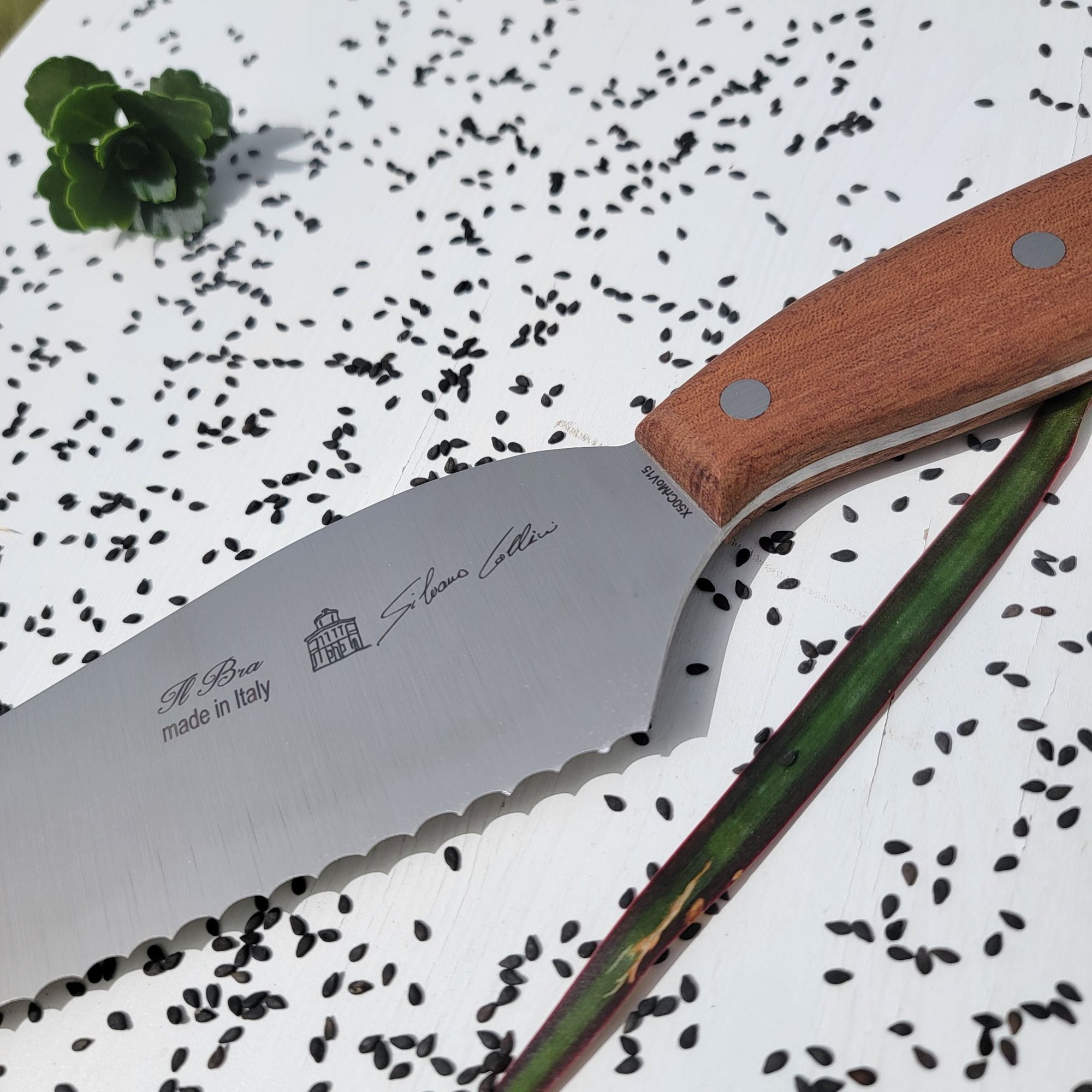 Bread Knife (Mahogany)