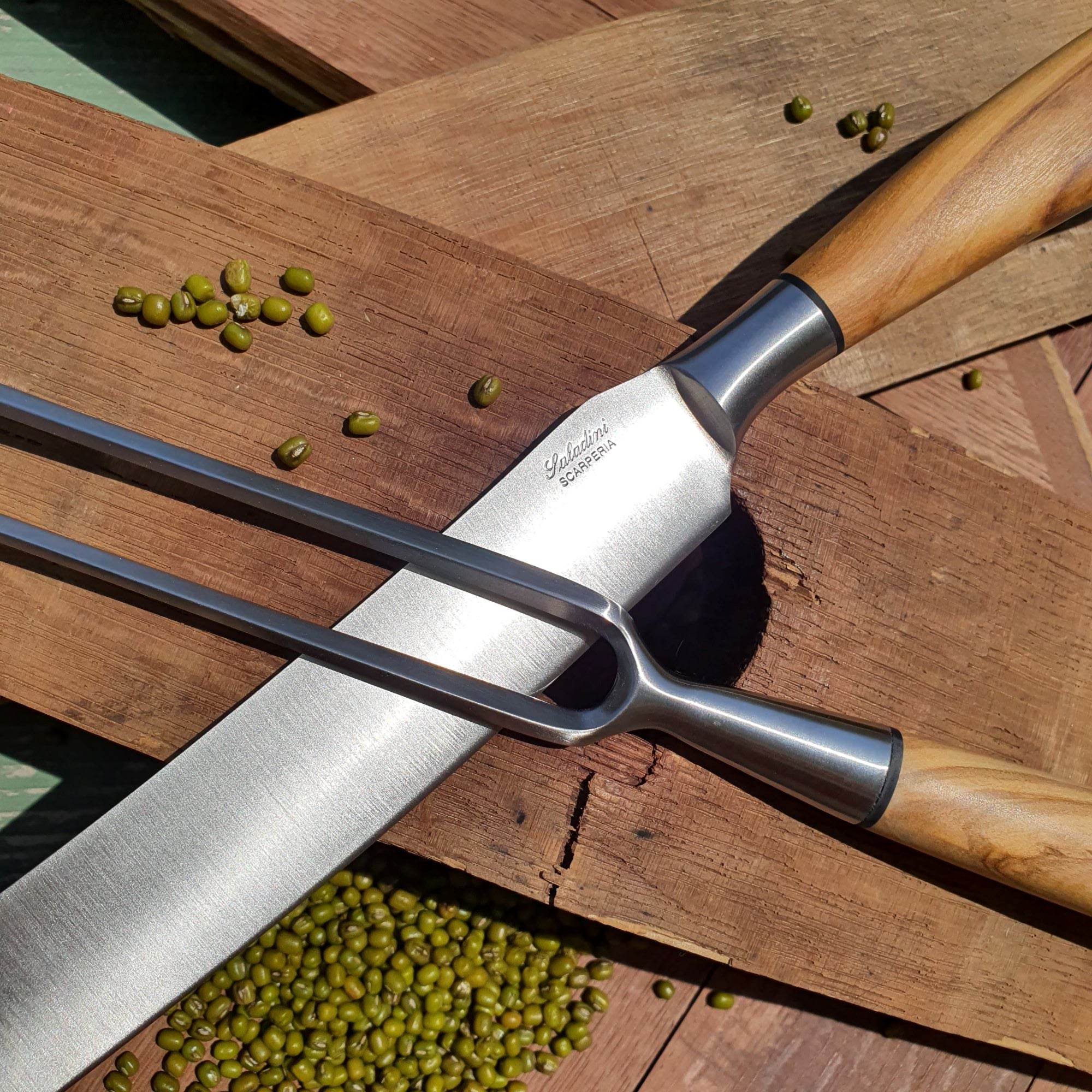 Carving Fork and Slicing Knife Set