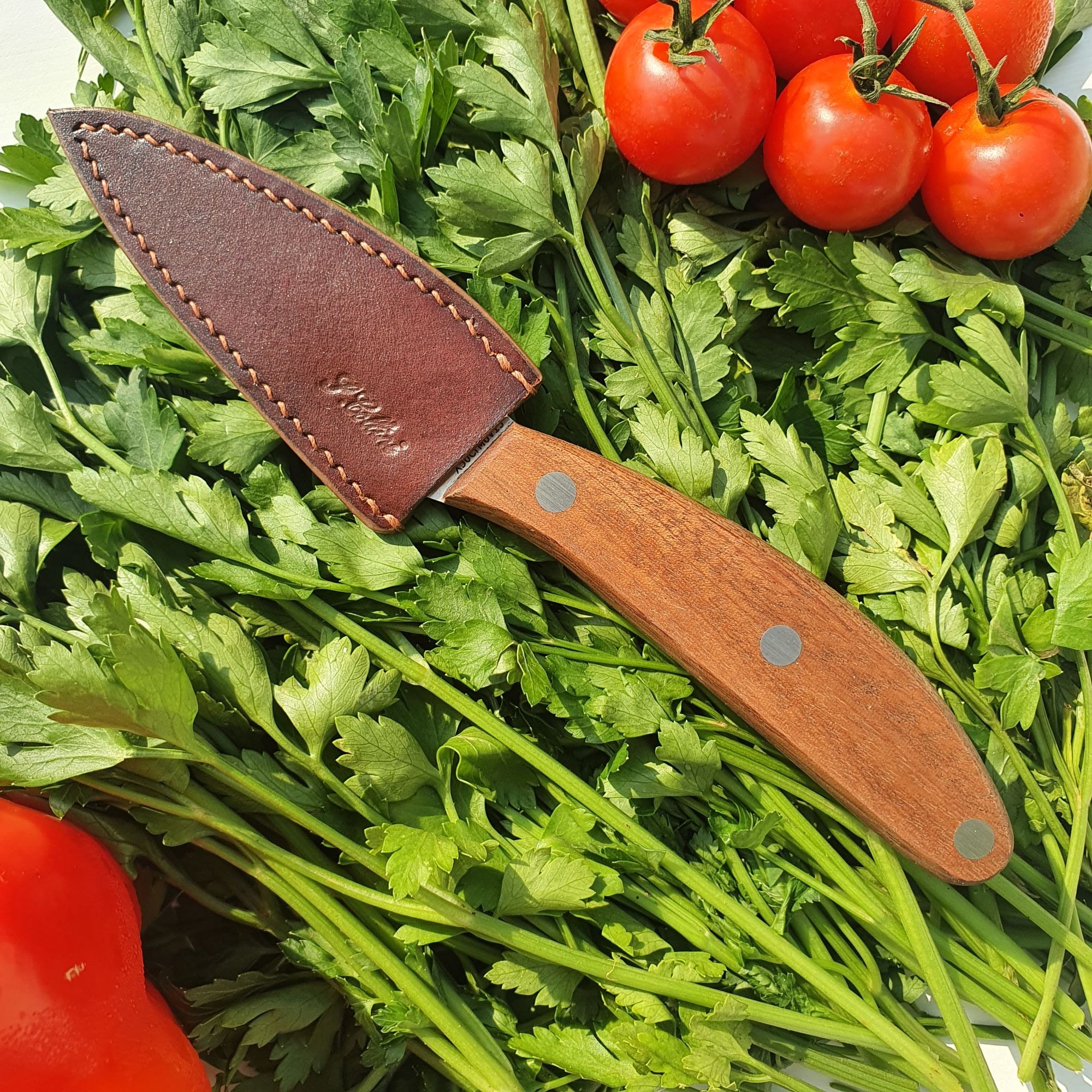 Curved Paring Knife (Mogano)