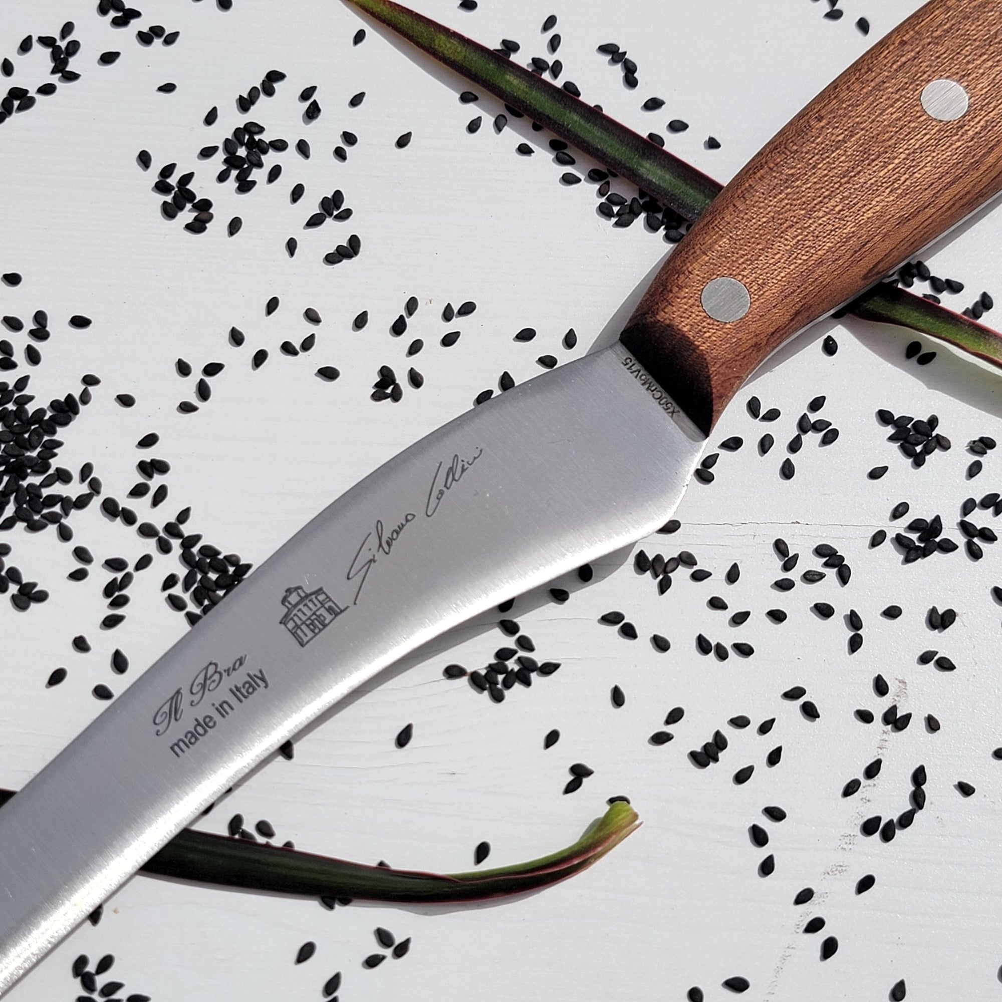 Filleting Knife (Mogano)