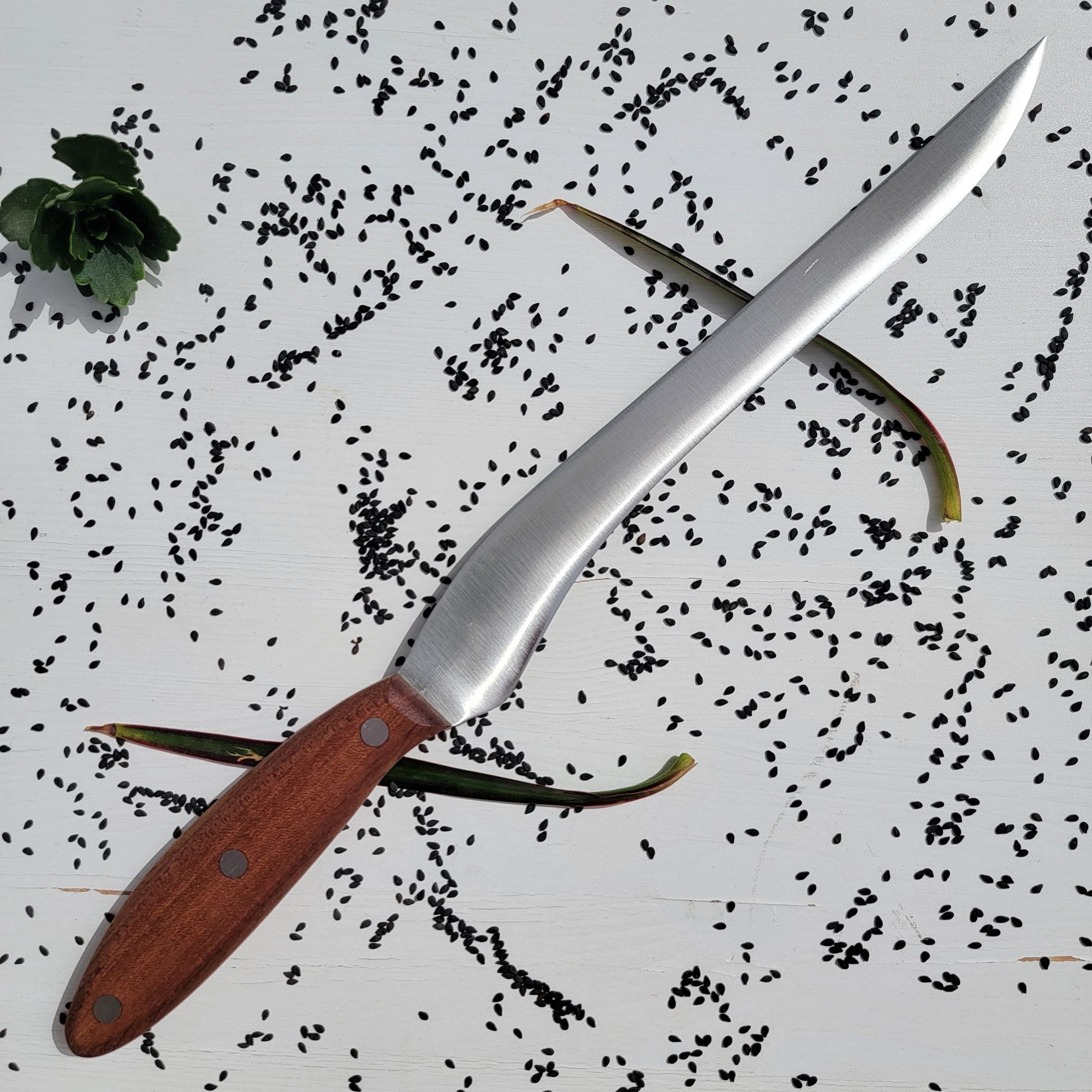 Filleting Knife (Mogano)
