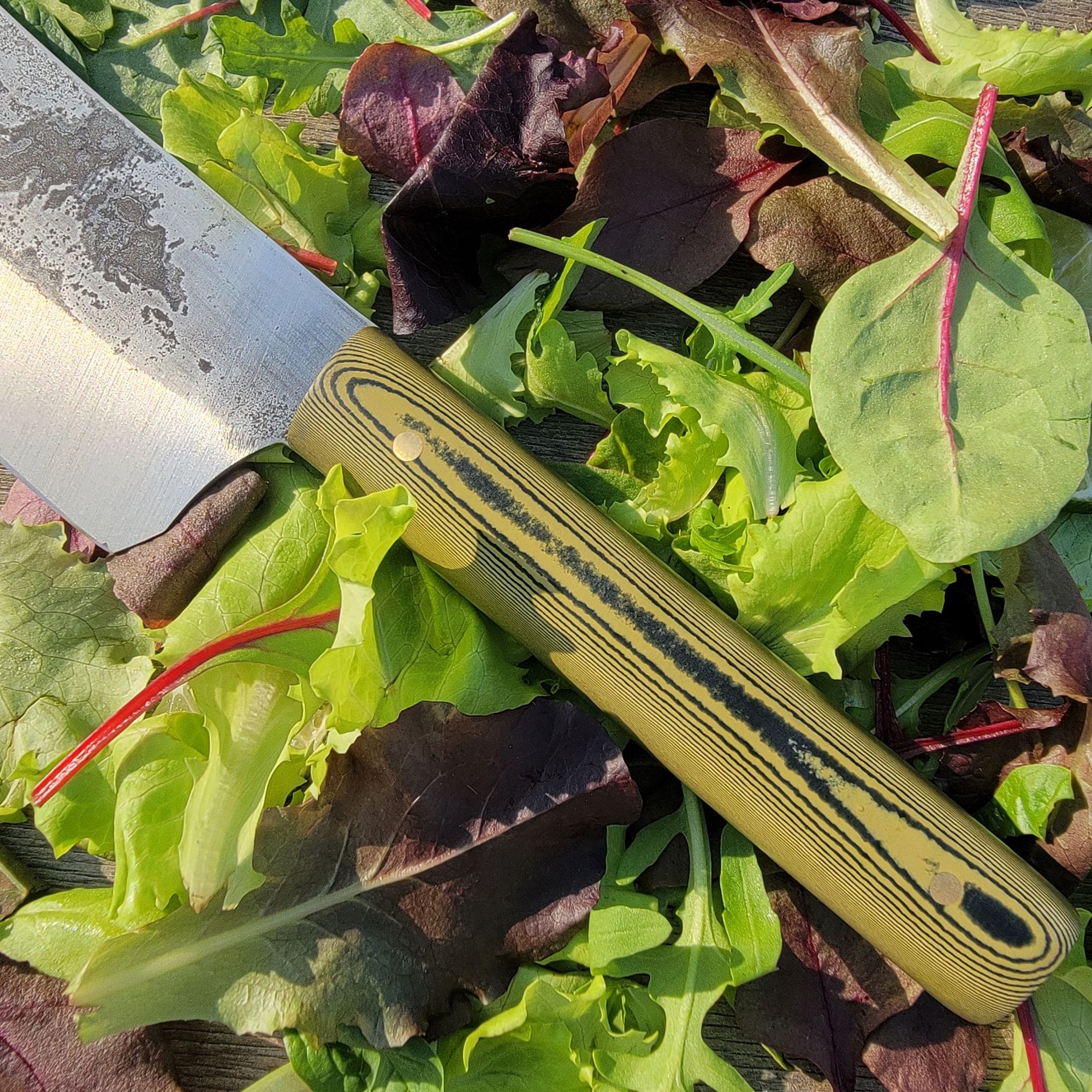 Gina (Yellow Micarta)