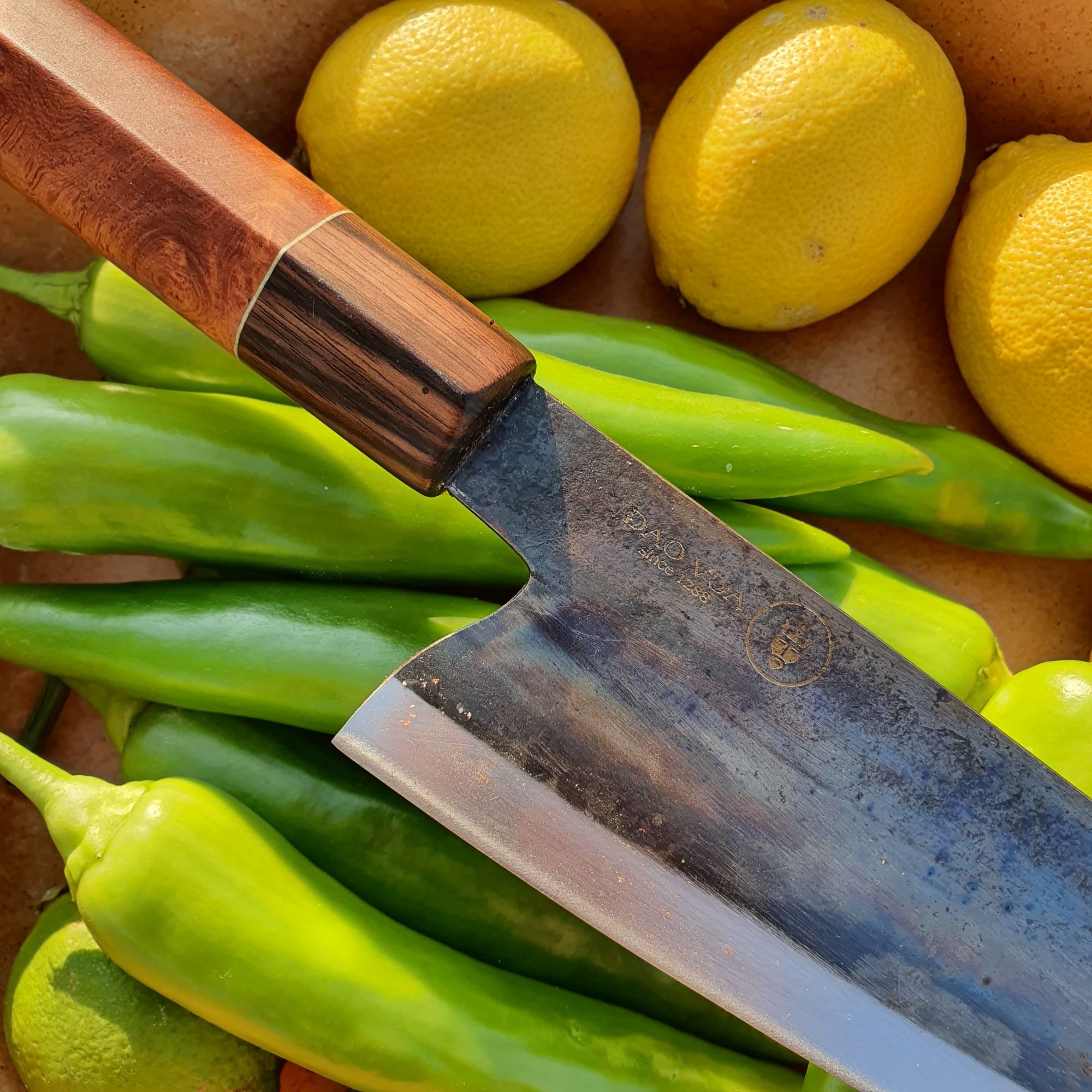 Gyuto