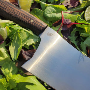 Miguel (Wenge)