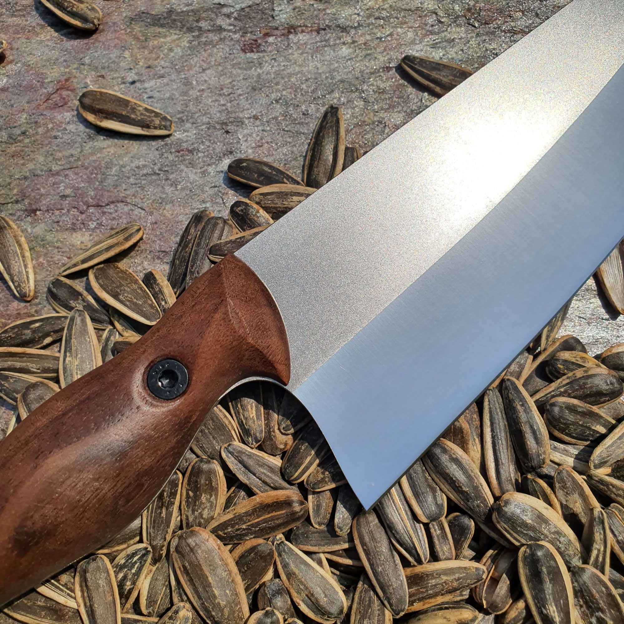 Moustache (M handle - American walnut)