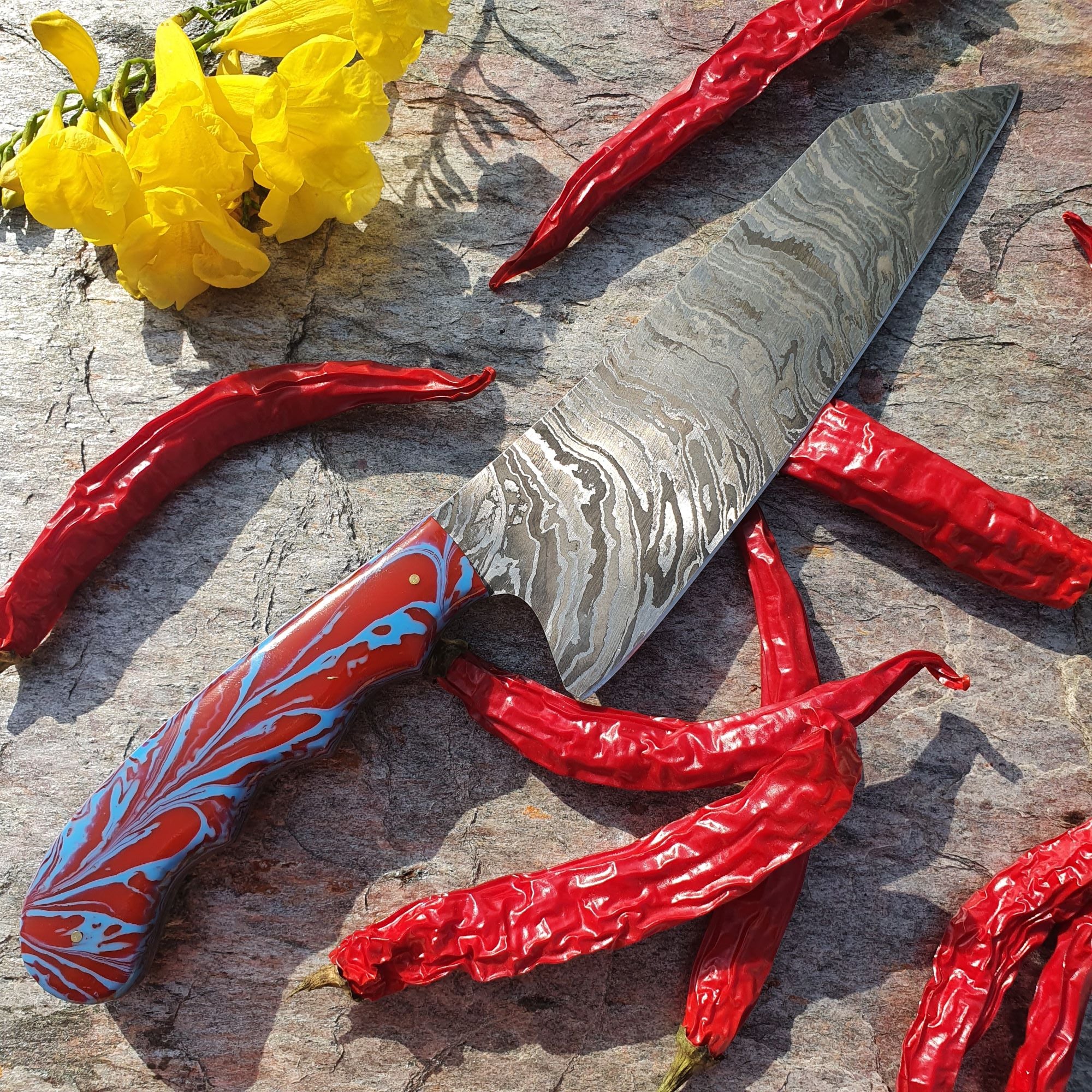 Red & Blue Chef