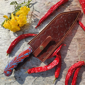 Red & Blue Chef