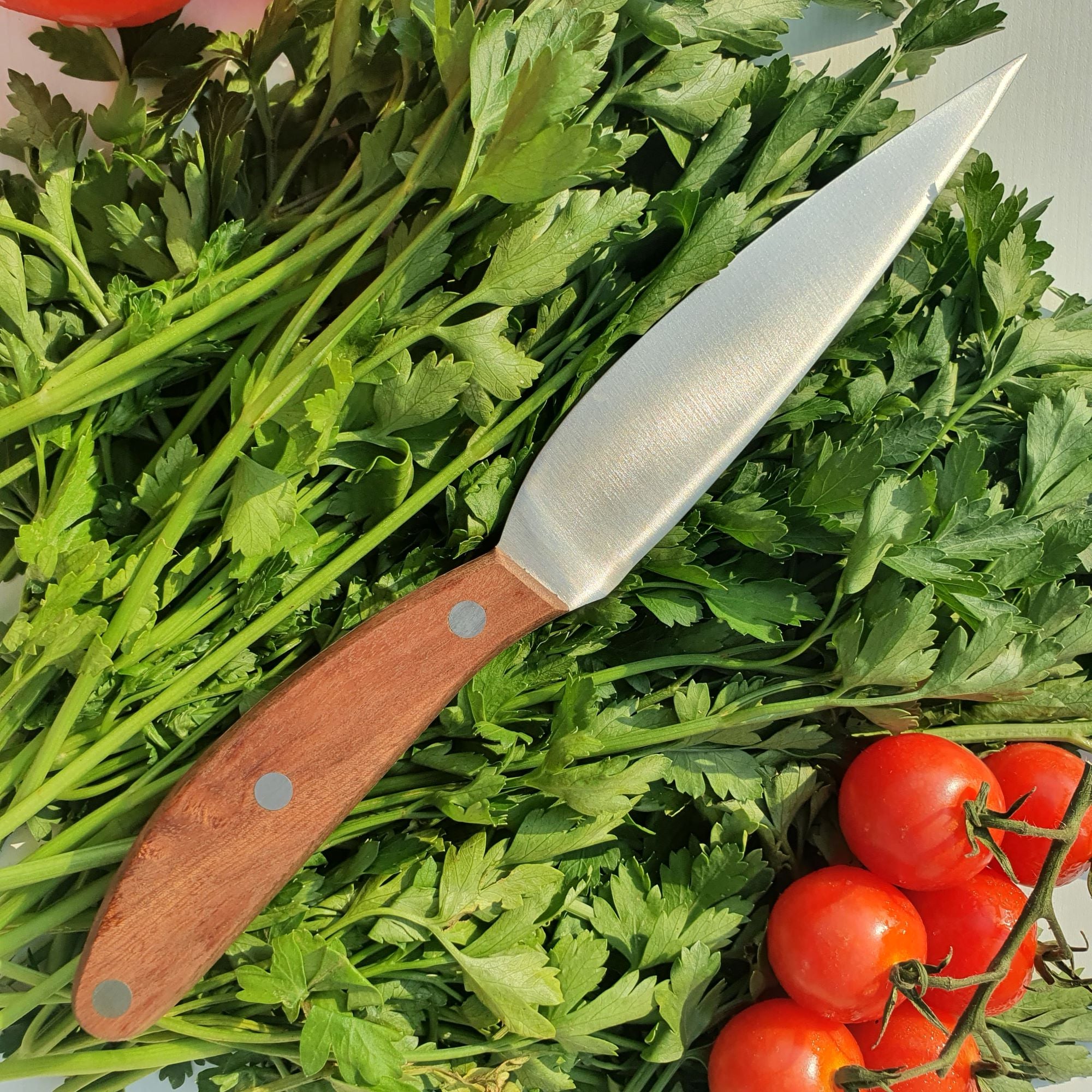 Utility Knife (Mogano)