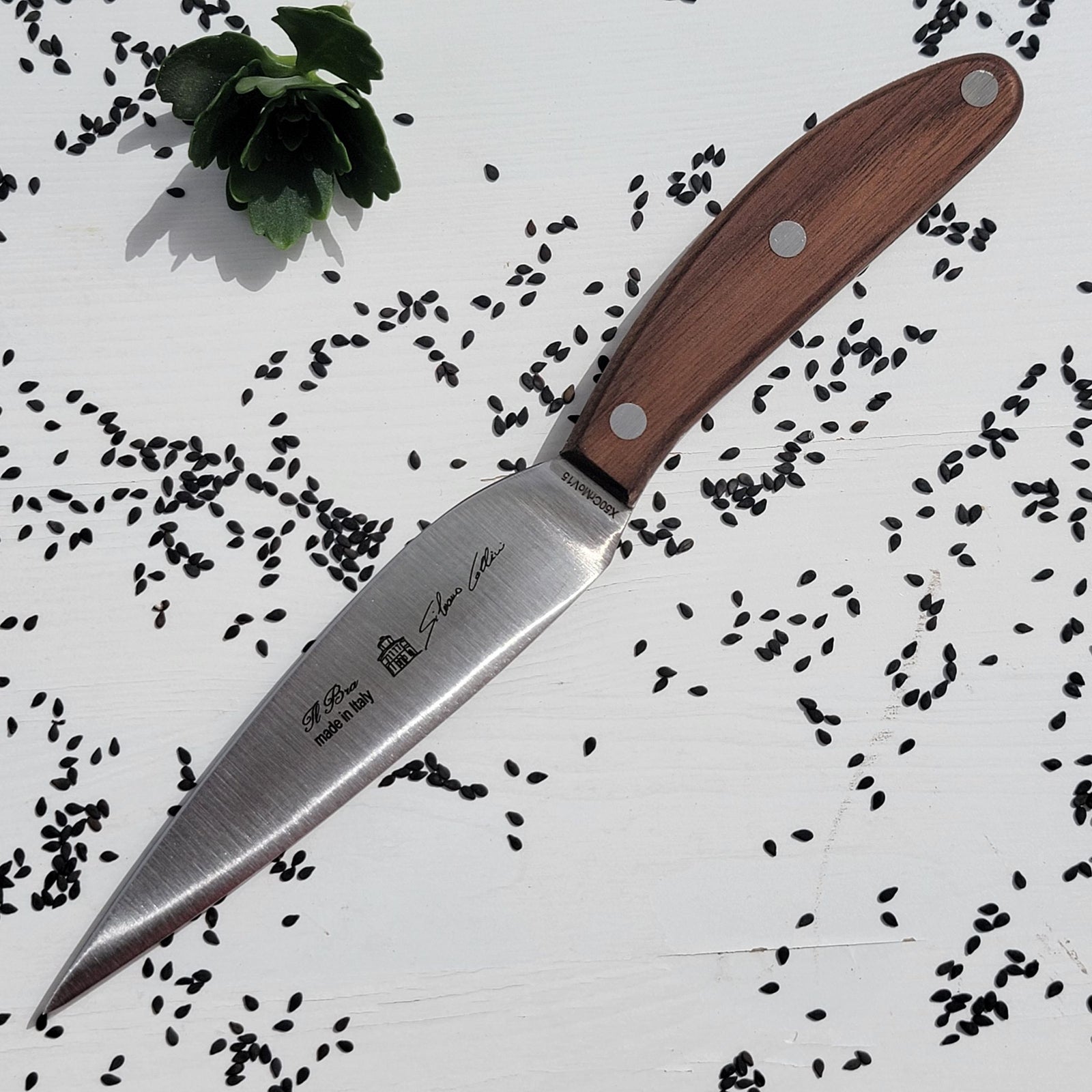 Utility Knife (Walnut)