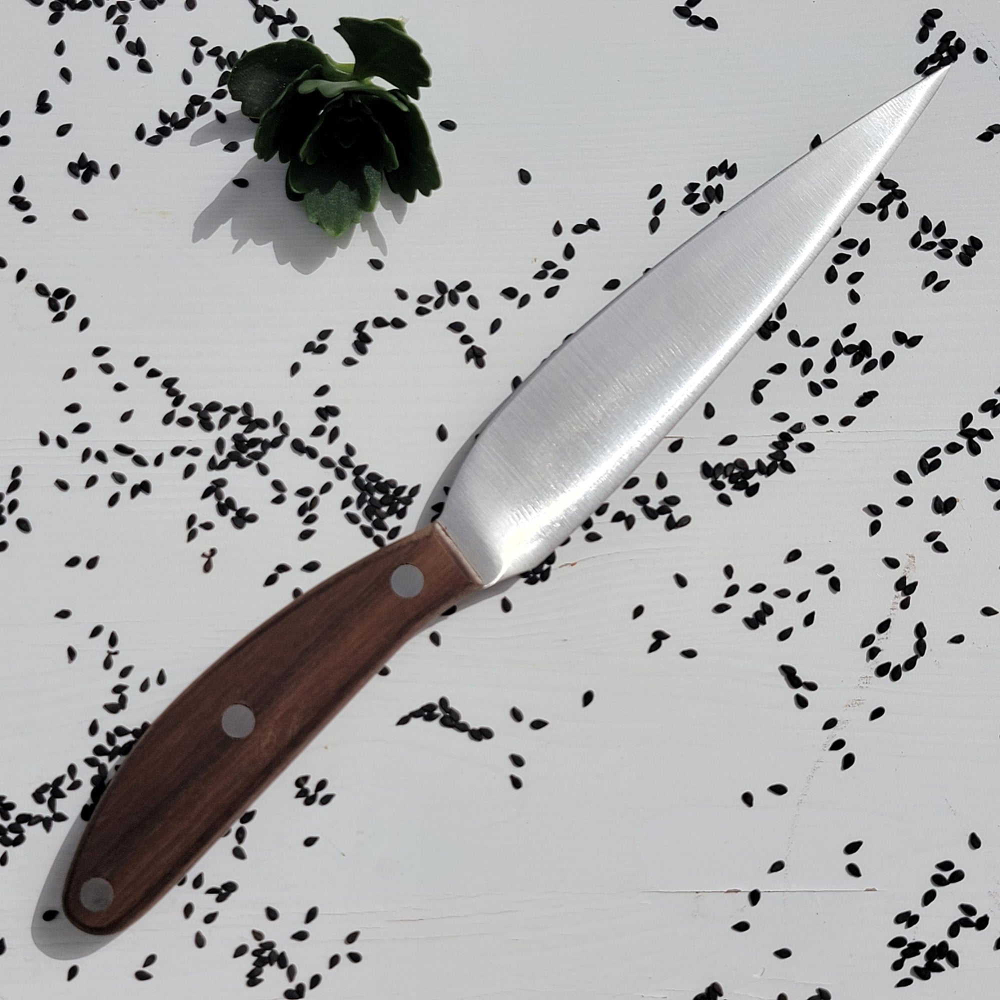 Utility Knife (Walnut)